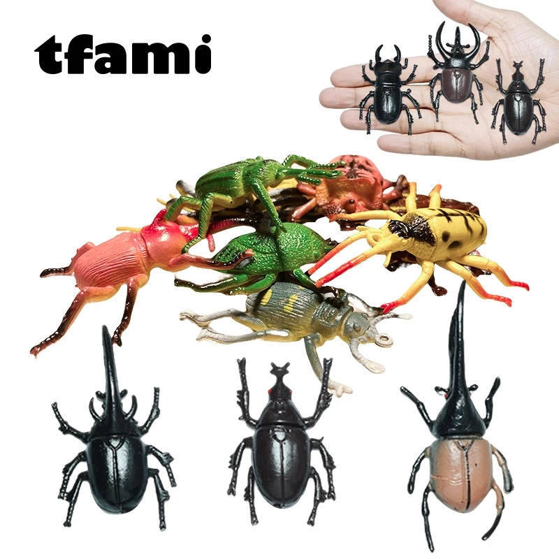 TFAMI Mini Simulation Insect Series Black Beetle Model Toy For Children Funny Beetle Animal Toy Kids Animal Toys For Boys Gifts
TFAMI Mini Simulation Insect Series Black Beetle Model Toy For Children Funny Beetle Animal Toy Kids Animal Toys For Boys Gifts