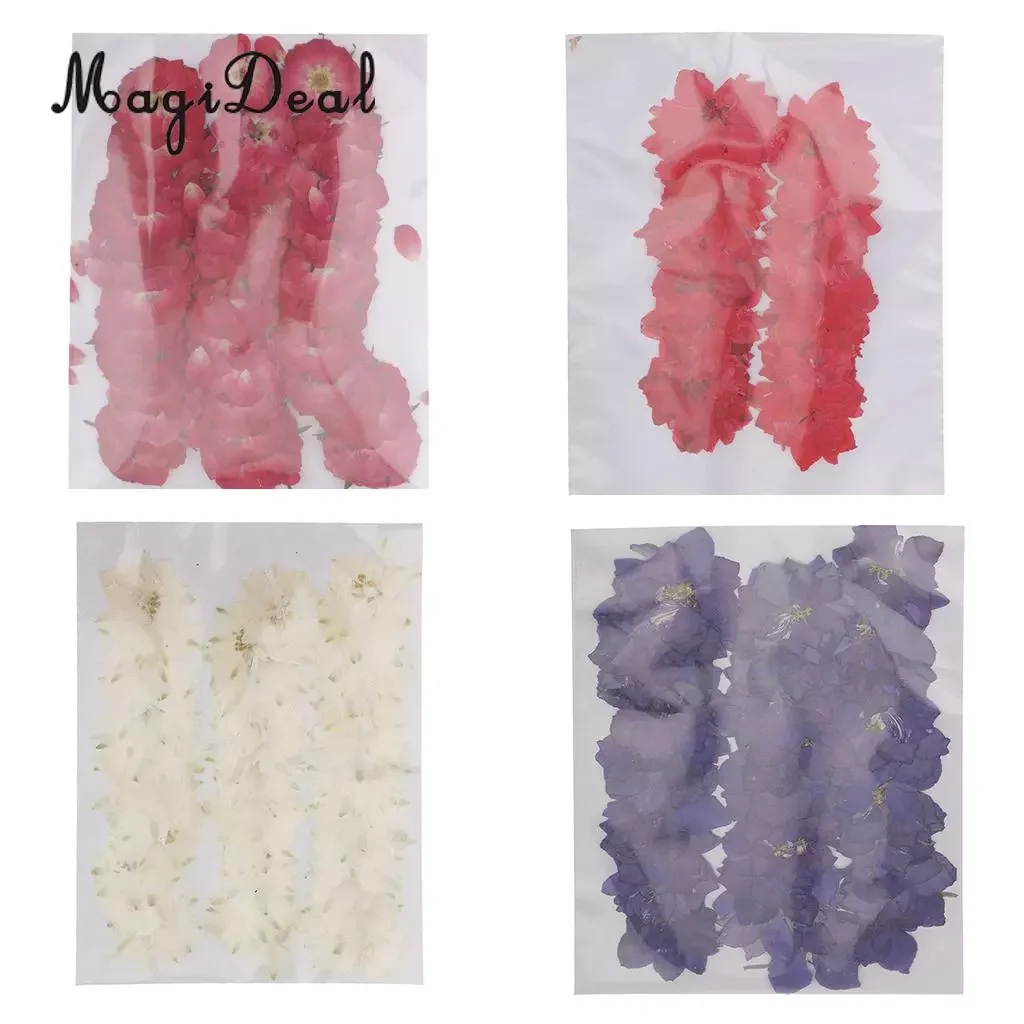 MagiDeal 50pcs Beautiful Pressed Rose Flower Dried Flowers for Art Craft Scrapbooking Card Making House Decoration
MagiDeal 50pcs Beautiful Pressed Rose Flower Dried Flowers for Art Craft Scrapbooking Card Making House Decoration