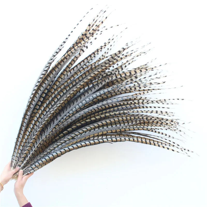 Wholesale 50pcs/lot High Quality Natural Pheasant Feathers 85-95cm 34-38inch for DIY Decoration Feathers for Crafts
Wholesale 50pcs/lot High Quality Natural Pheasant Feathers 85-95cm 34-38inch for DIY Decoration Feathers for Crafts