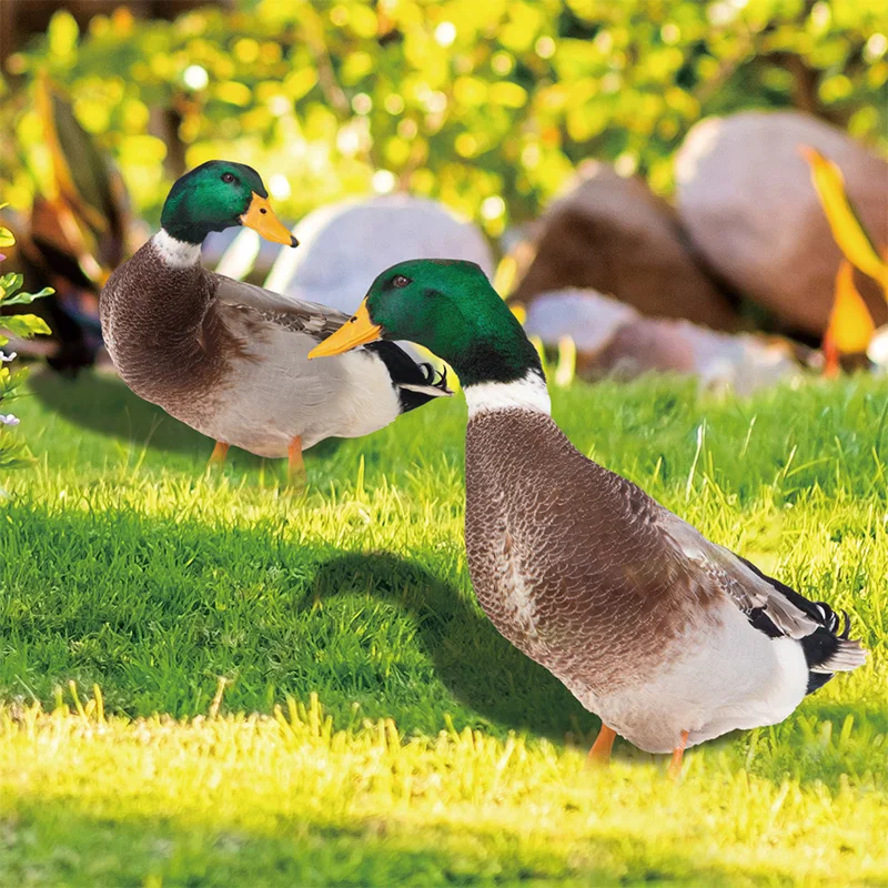 Garden Duck Statues Outdoor Creative Acrylic Double-sided Printing Poultry Sculpture Realistic Ornamental Courtyard Decoration 
Garden Duck Statues Outdoor Creative Acrylic Double-sided Printing Poultry Sculpture Realistic Ornamental Courtyard Decoration