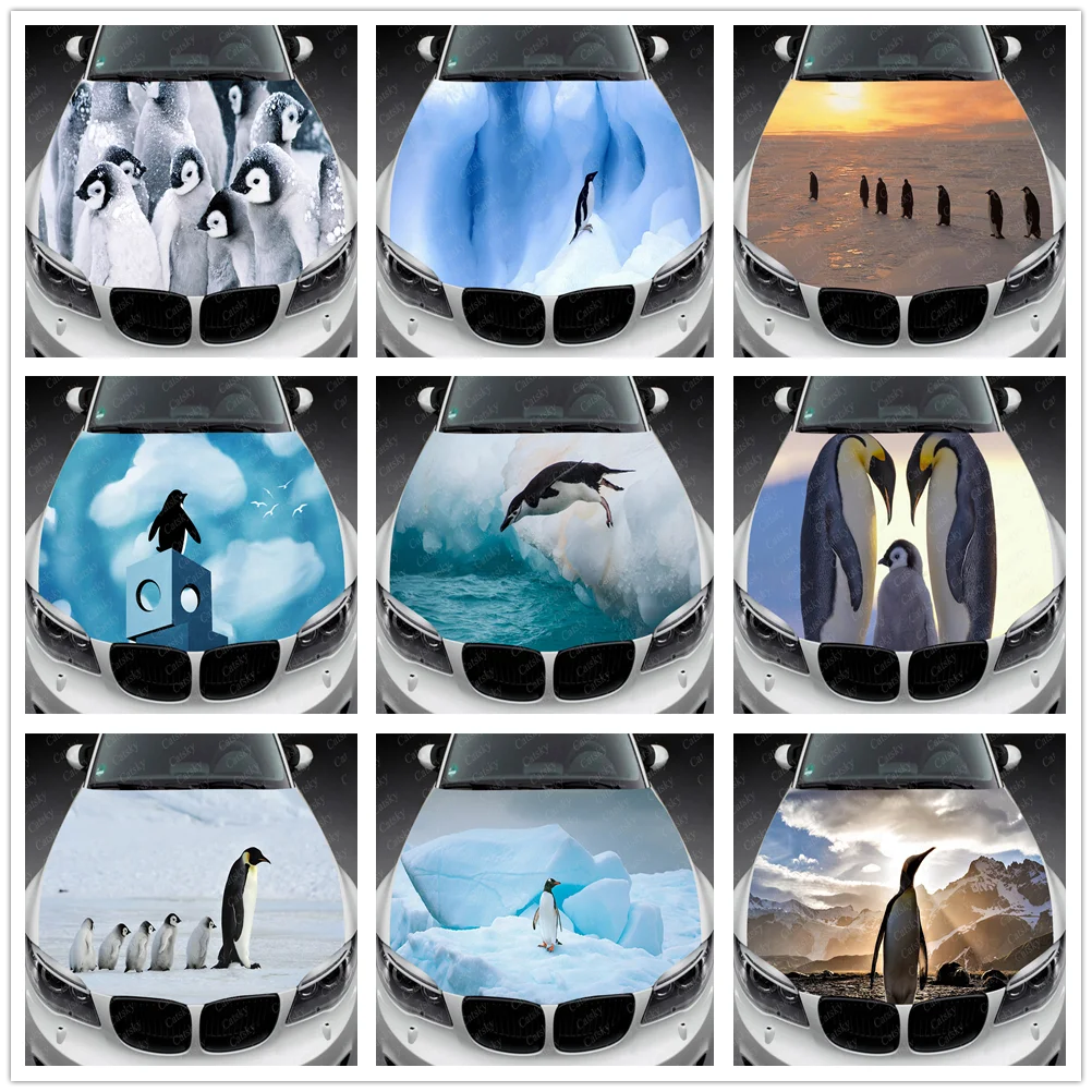 Penguin Car Decal Car Hood Wrap Decal Vinyl Sticker Full Color Graphic Fit Any Car Car Hood Wrap Decal Vinyl Stickers
Penguin Car Decal Car Hood Wrap Decal Vinyl Sticker Full Color Graphic Fit Any Car Car Hood Wrap Decal Vinyl Stickers