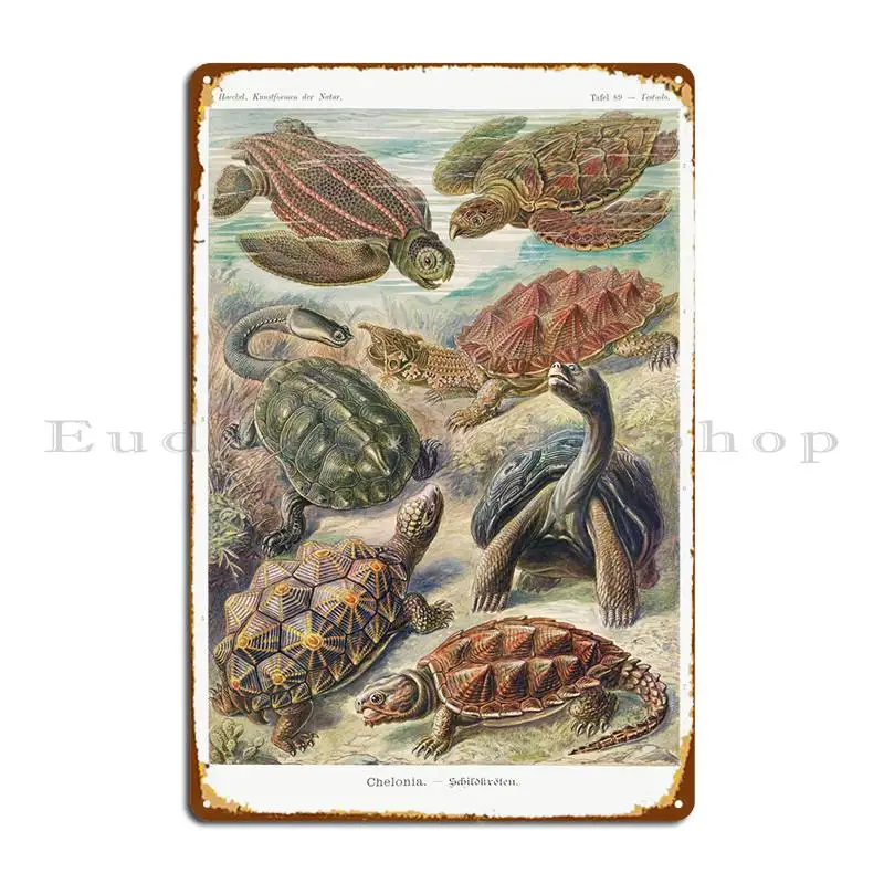 Металлический знак Chelonia, дизайн гаража, кинотеатра, персонализированный клубный жестяной плакат
Металлический знак Chelonia, дизайн гаража, кинотеатра, персонализированный клубный жестяной плакат