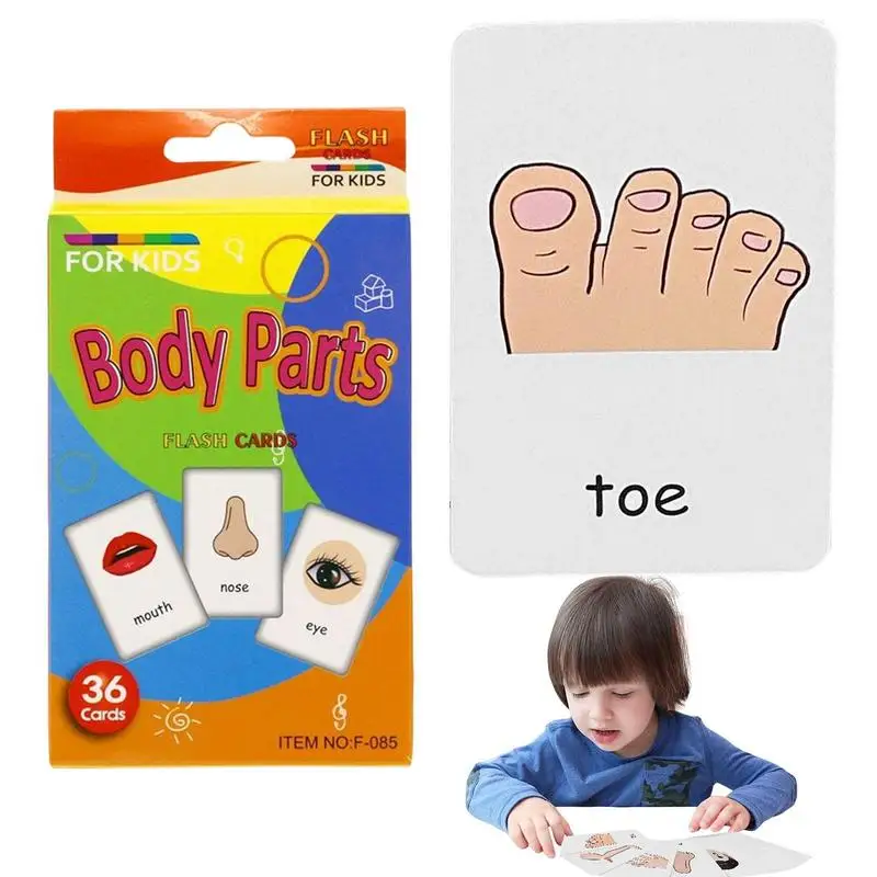 Flash Cards For Toddlers 36PCS Animal Sight Word Games For Kindergarten Children Interactive Flashcards Set For Nursery
Flash Cards For Toddlers 36PCS Animal Sight Word Games For Kindergarten Children Interactive Flashcards Set For Nursery