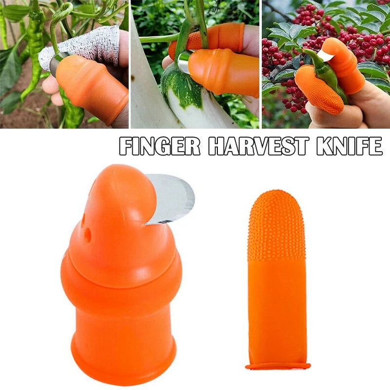 Agricultural Pluck Device Silicone Finger Thumb Knife Cut Vegetable Knife With Finger Cots
Agricultural Pluck Device Silicone Finger Thumb Knife Cut Vegetable Knife With Finger Cots