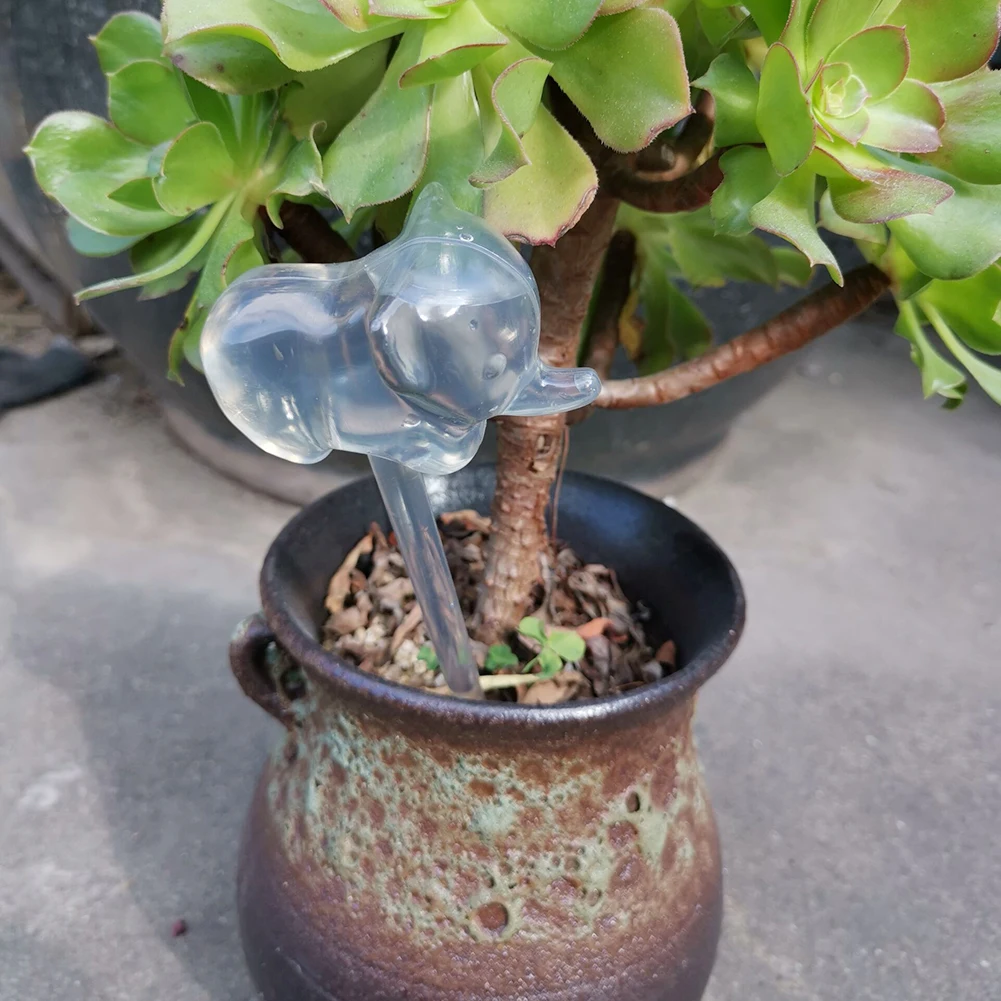 1pcs Automatic Plant Water Feeder Self Watering Plastic Ball Indoor Outdoor Flowers Water Cans Flowerpot Drip Irrigation Device
1pcs Automatic Plant Water Feeder Self Watering Plastic Ball Indoor Outdoor Flowers Water Cans Flowerpot Drip Irrigation Device