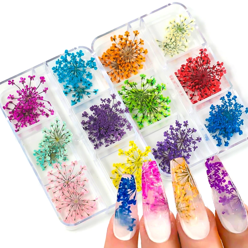 12Pcs Dry Flowers Nail Decorations 3D Real Dried Flower Nail Art Accessories Tips Natural Floral Designs DIY Manicure Tools Set
12Pcs Dry Flowers Nail Decorations 3D Real Dried Flower Nail Art Accessories Tips Natural Floral Designs DIY Manicure Tools Set