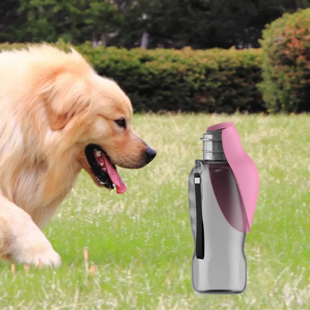 

Дозатор воды для прогулок на открытом воздухе, бутылка для воды в форме листа, для собак, кошек, питьевая миска, для щенков