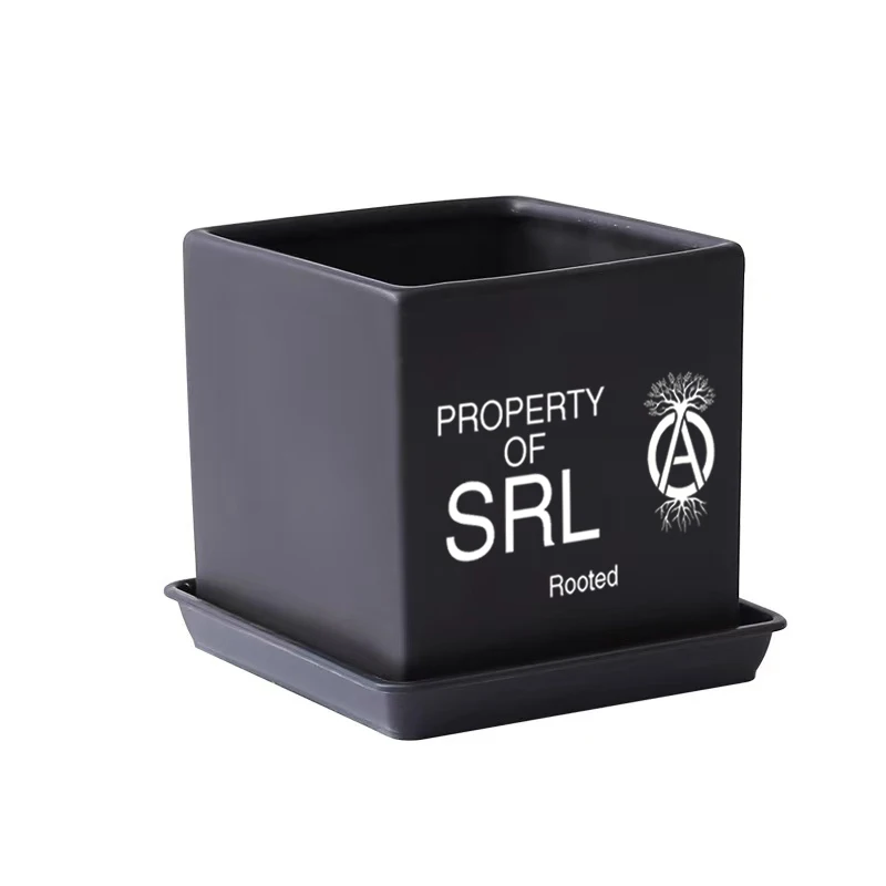 NBHD Hiroshi Fujiwara plant ceramic flower pot succulent plant potted turtle shell elephant bud palace agave
NBHD Hiroshi Fujiwara plant ceramic flower pot succulent plant potted turtle shell elephant bud palace agave