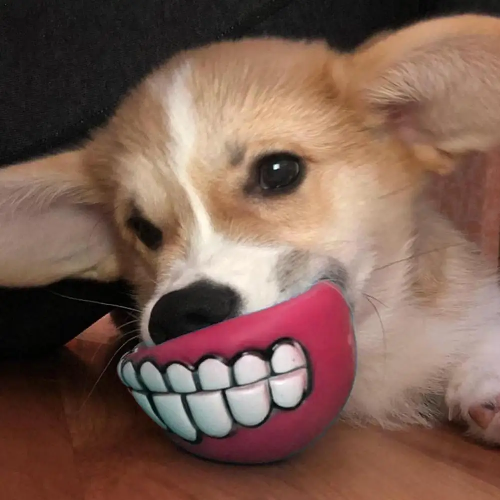 1 шт., силиконовый держатель для зубов, для собак
1 шт., силиконовый держатель для зубов, для собак