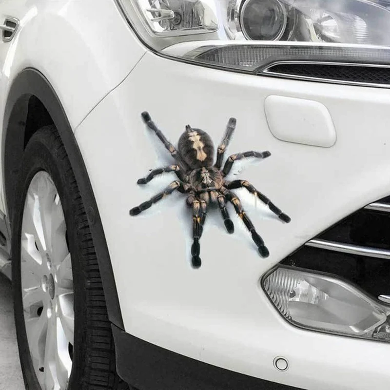 3D Car Stickers Spider Gecko Realistic Animal Decoration Decals Motorcycle Automobile Body Style Decaration Home Wall Sticker
3D Car Stickers Spider Gecko Realistic Animal Decoration Decals Motorcycle Automobile Body Style Decaration Home Wall Sticker