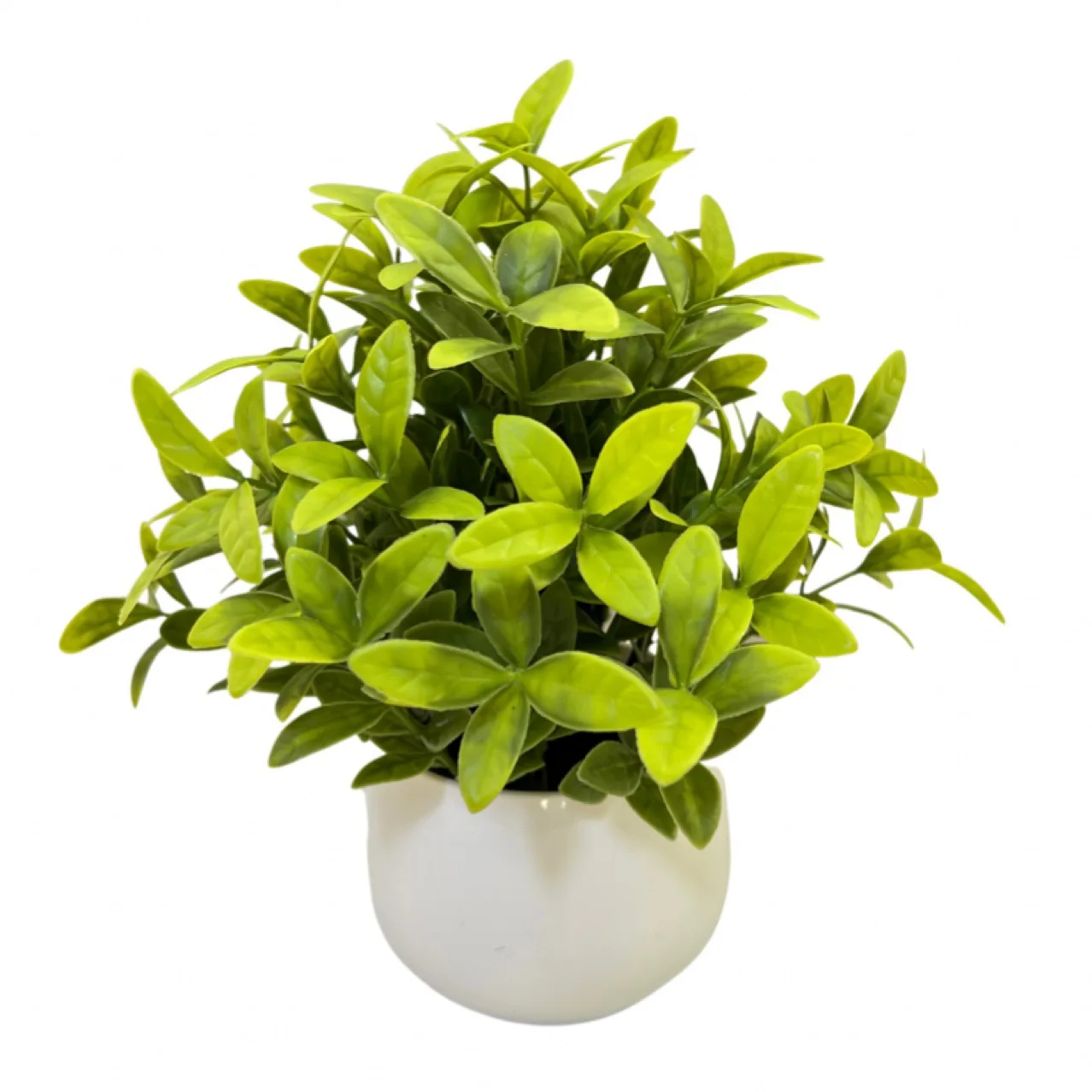 Artificial Plants Bonsai Small Tree Simulation Pot Plants Fake Flowers Table Potted Ornaments Home Decoration Hotel Garden Decor
Artificial Plants Bonsai Small Tree Simulation Pot Plants Fake Flowers Table Potted Ornaments Home Decoration Hotel Garden Decor