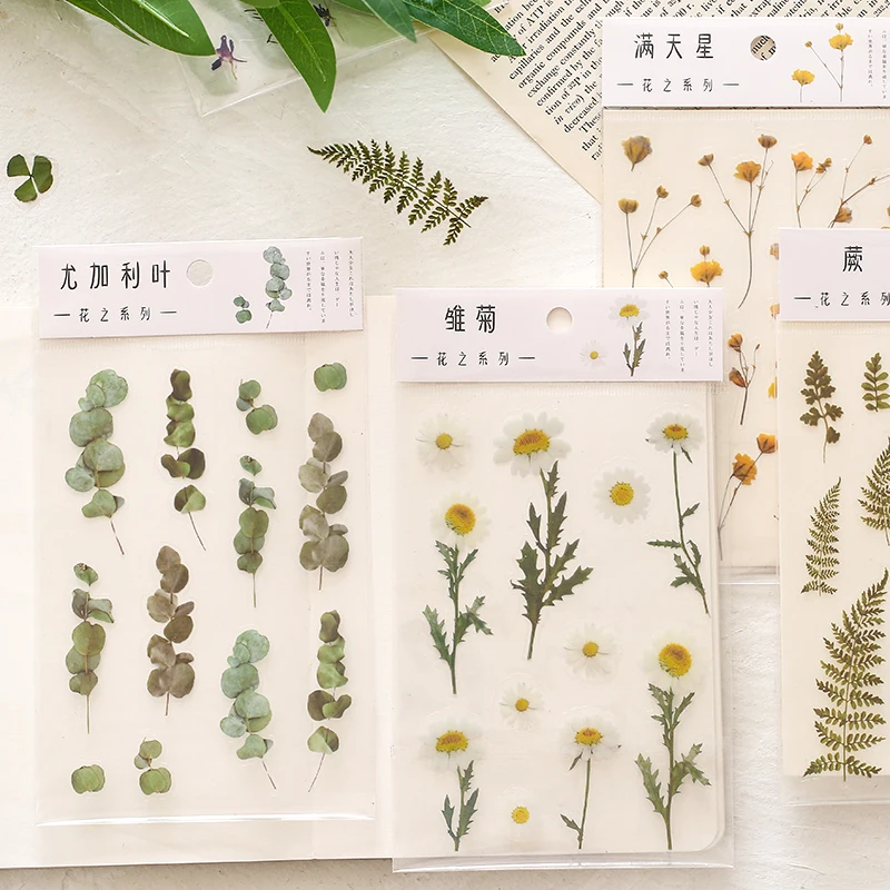 

Daisy Clover Fern Transparent PET Stickers Flowers Leaves Plants Sticker for Scrapbooking Journal Stickers Japanese Stationery