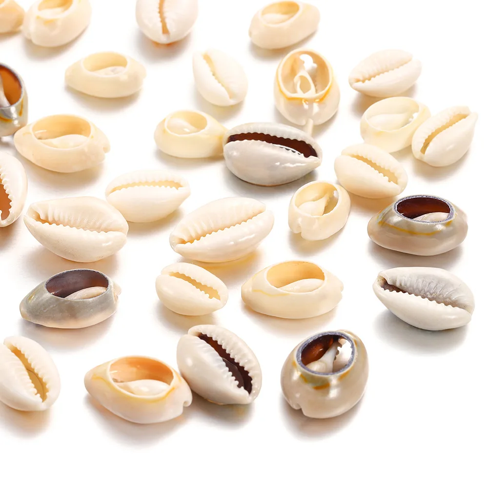 50pcs Shell conch necklace accessories material aquarium landscaping fish tank decoration natural gold edge snail diy props
50pcs Shell conch necklace accessories material aquarium landscaping fish tank decoration natural gold edge snail diy props