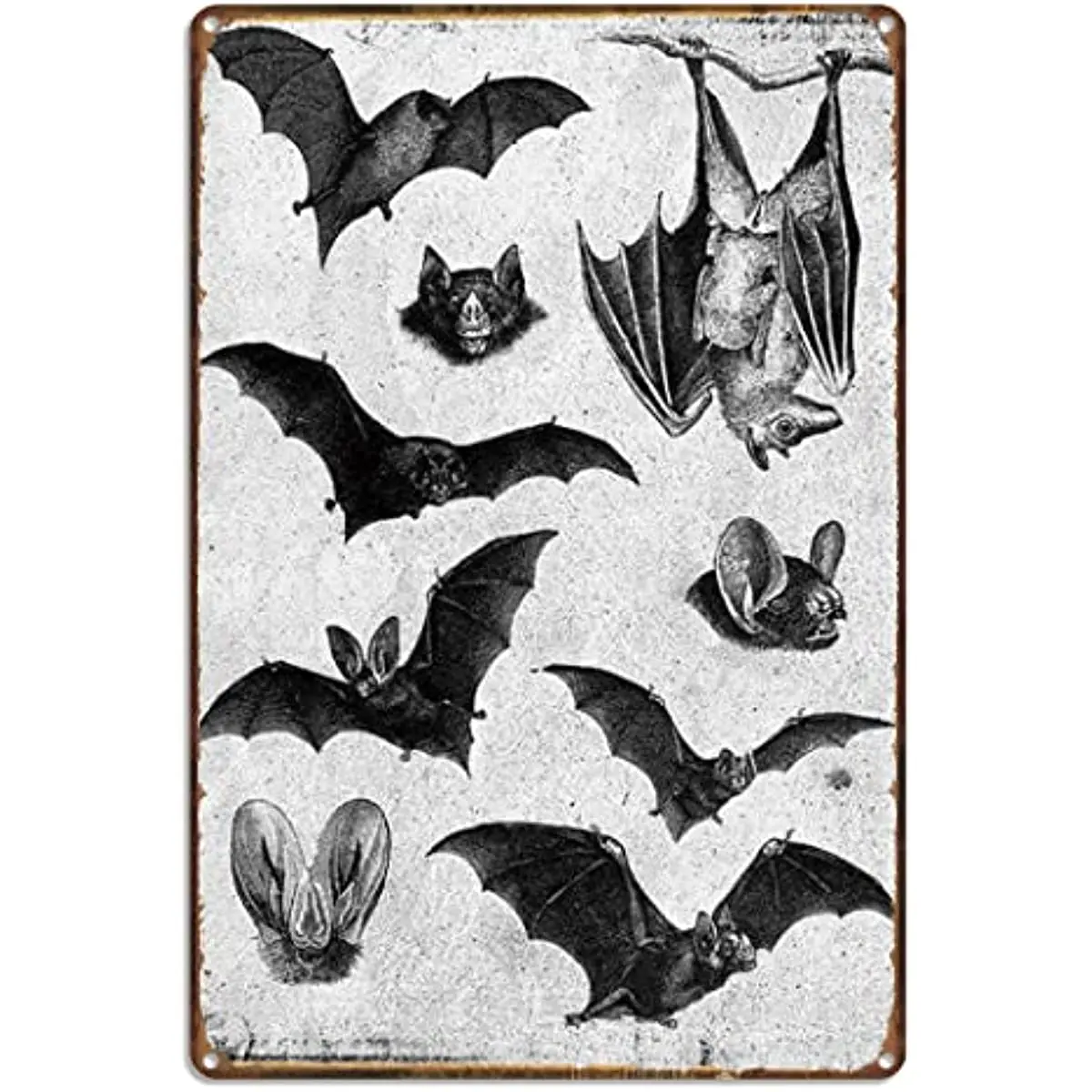 New Bats Gothic Decor Witchy Decor Aesthetic Wall Decor Guest Wall Decor Art tin Sign vintage posters farmhouse decor decor
New Bats Gothic Decor Witchy Decor Aesthetic Wall Decor Guest Wall Decor Art tin Sign vintage posters farmhouse decor decor