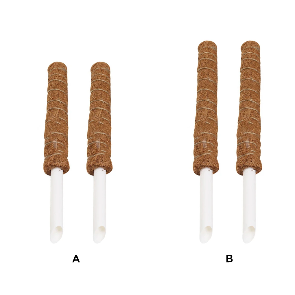 Pack of 2 Plant Poles Gardening DIY Vine Stick Creepers Potted Plants Growth Extension Support Stakes for Greenhouse 30CM
Pack of 2 Plant Poles Gardening DIY Vine Stick Creepers Potted Plants Growth Extension Support Stakes for Greenhouse 30CM