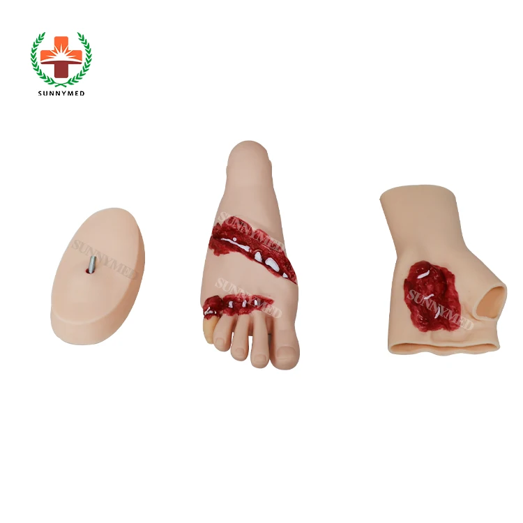 SUNNYMED SY-N043 High Quality Trauma Caring Evaluation Modules Nursing Manikin Model
SUNNYMED SY-N043 High Quality Trauma Caring Evaluation Modules Nursing Manikin Model