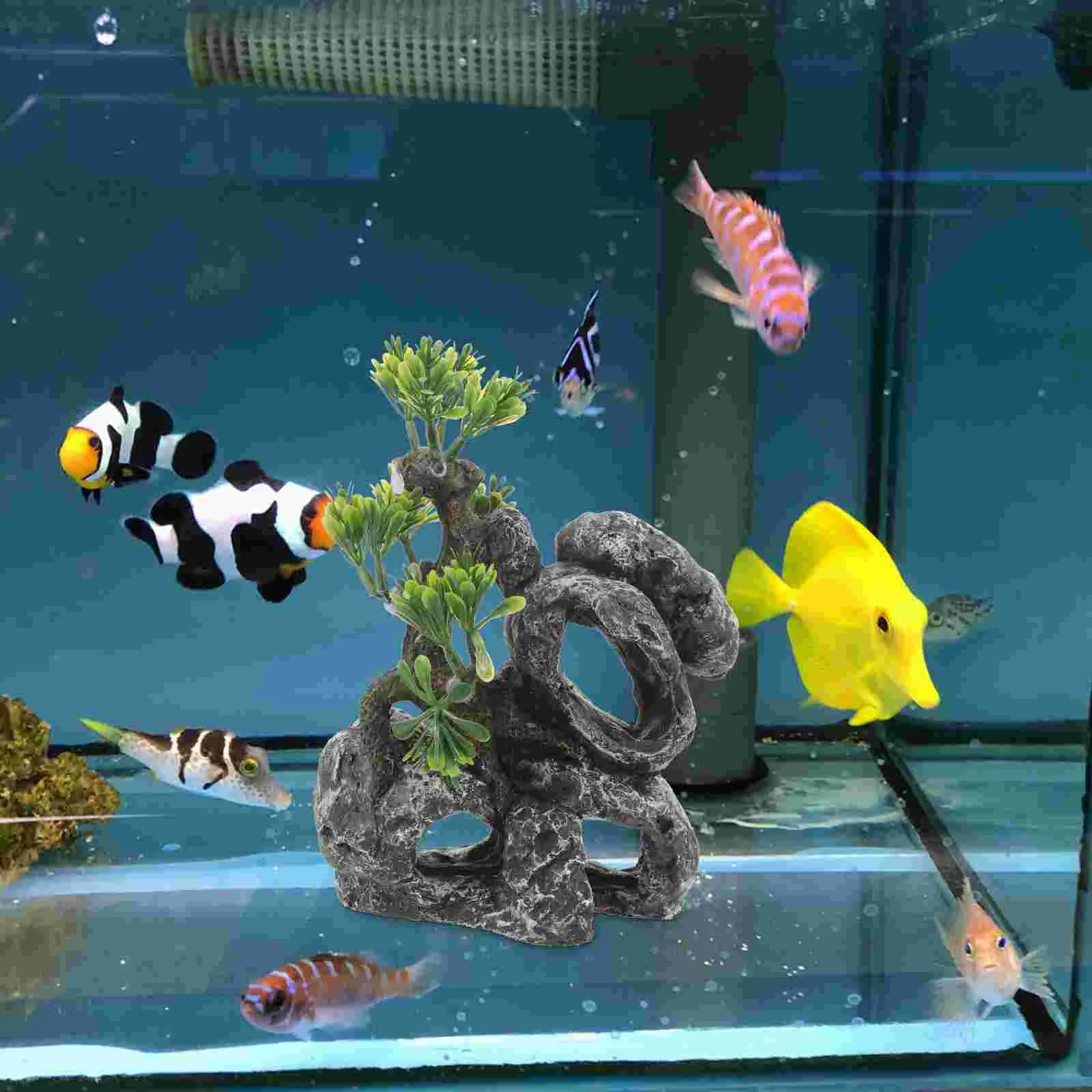 Rockery Large Fish Tank Small Large Fish Tank Plantations Climbing Pet Fake Grass Plants Realistic Resin 
Rockery Large Fish Tank Small Large Fish Tank Plantations Climbing Pet Fake Grass Plants Realistic Resin