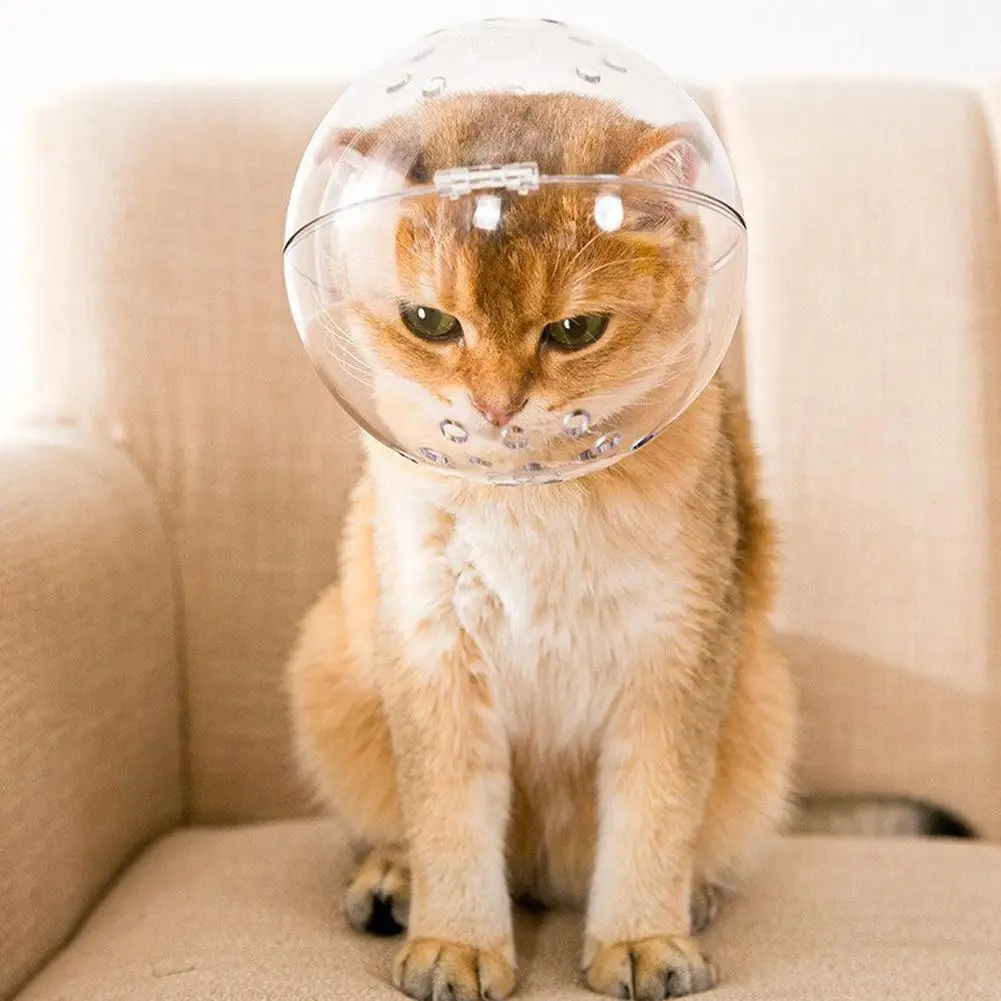 

1 Pc Cat Transparent Breathable Head Hood Adjustable Bite Grooming Pet Headgear Astronaut Resistant Round Pet Helmet B2A8