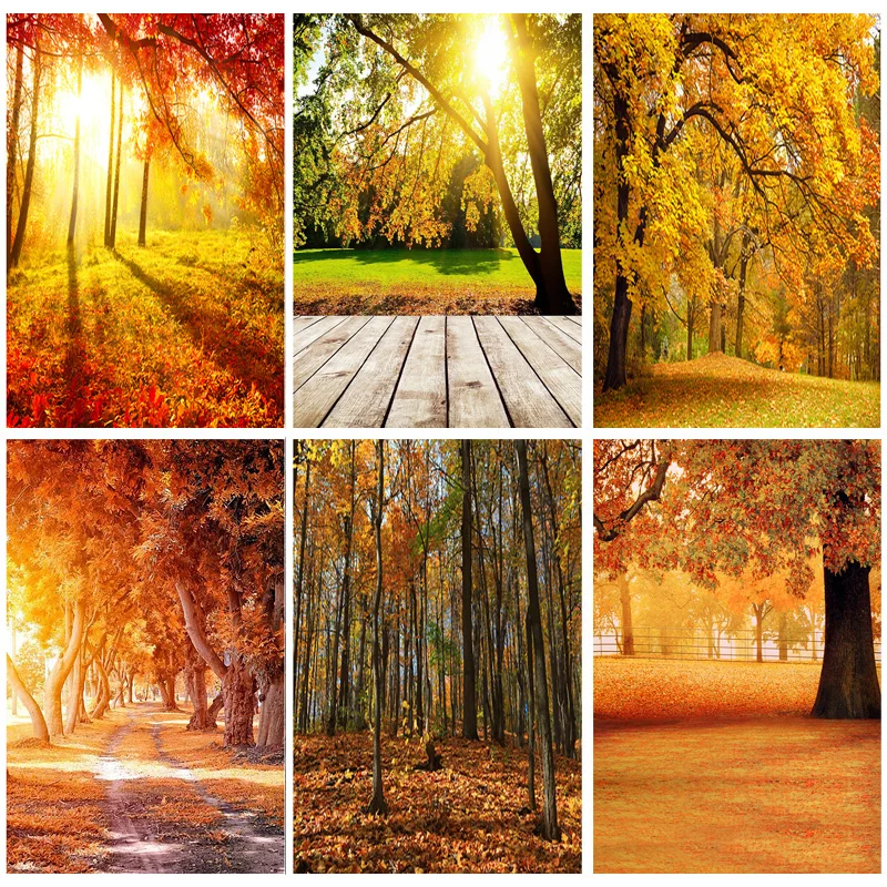 Vinyl Custom Natural Scenery Photography Background Fall Forest Landscape Travel Photo Backdrops Studio Props 1911 CXZM-37
Vinyl Custom Natural Scenery Photography Background Fall Forest Landscape Travel Photo Backdrops Studio Props 1911 CXZM-37