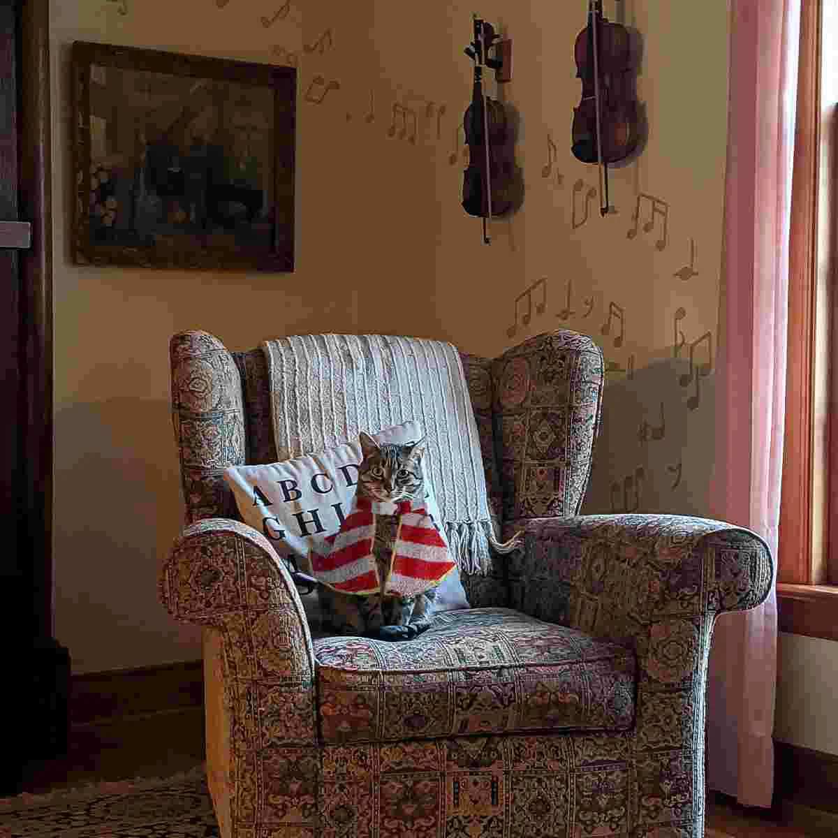 Pet Dog Costume Santa Christmas Cape Cosplay Suit Cloak Hoodie Sweater Puppy Winter Warm Cat New Year Clothes Jumper Claus 
Pet Dog Costume Santa Christmas Cape Cosplay Suit Cloak Hoodie Sweater Puppy Winter Warm Cat New Year Clothes Jumper Claus