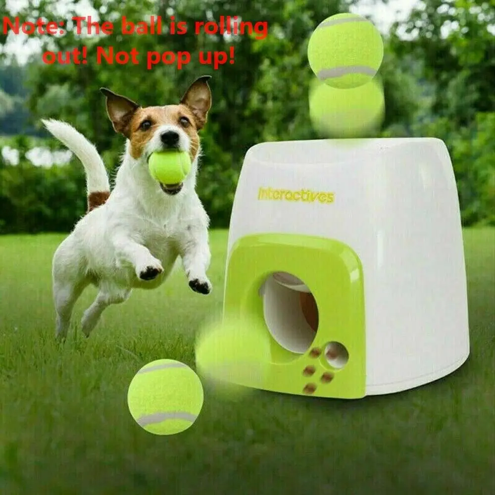 1Pcs Dog Pet Toys Tennis Launcher Automatic Throwing Machine Pet Throw Device Emission with 3 Balls Dog Training
1Pcs Dog Pet Toys Tennis Launcher Automatic Throwing Machine Pet Throw Device Emission with 3 Balls Dog Training