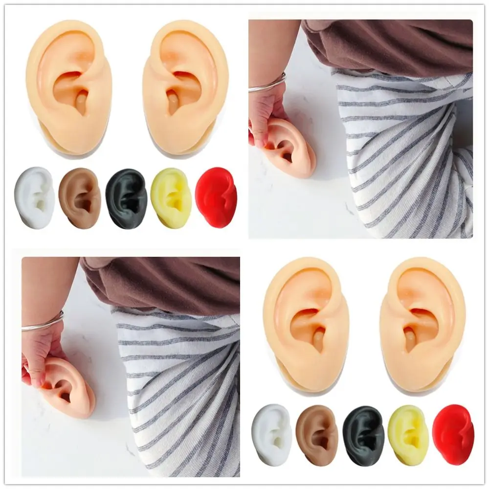 

Silicone Ear Model New Reuseable Body Jewelry Piercing Model Teaching Props Earrings Display Stand Medical Teaching Props