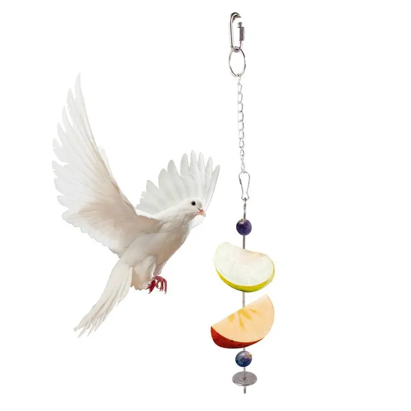 Bird Feeder For Cage Bird Treat Skewer Fruit Fork Bird Feeder Parrot Skewer Food Feeder Fruit Vegetable Holder Stainless Steel
Bird Feeder For Cage Bird Treat Skewer Fruit Fork Bird Feeder Parrot Skewer Food Feeder Fruit Vegetable Holder Stainless Steel