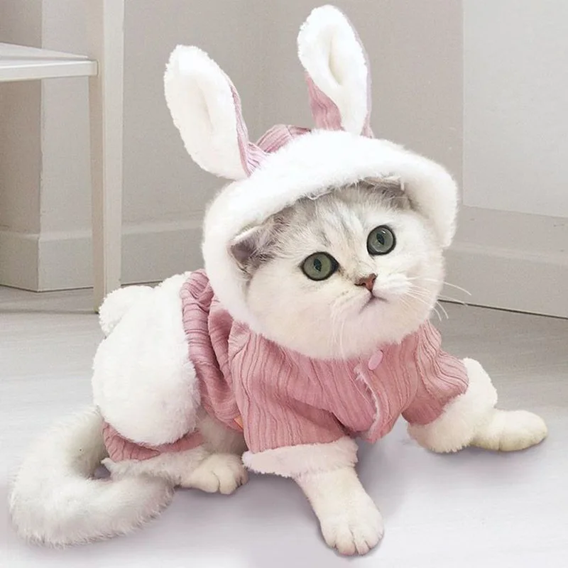 Pet Cat Clothes Costume,Clothes for Hoodies Cute Rabbit Shape Cat Clothes Coat,Pink New Released
Pet Cat Clothes Costume,Clothes for Hoodies Cute Rabbit Shape Cat Clothes Coat,Pink New Released