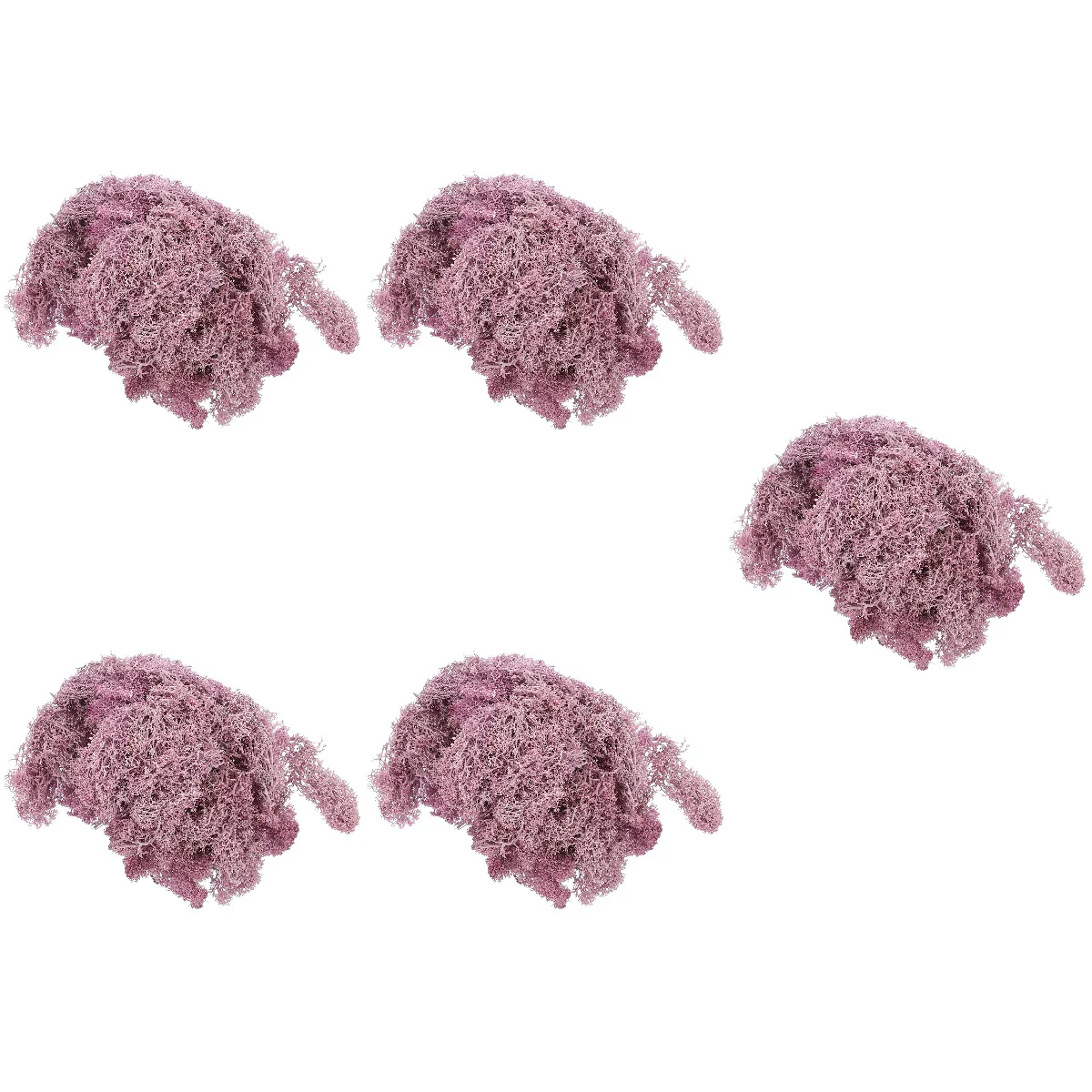 5 Bags Everlasting Moss Micro Landscape Decorations Home Craft Supplies Preserved Crafts Dry Ornament Flower Potted Plants
5 Bags Everlasting Moss Micro Landscape Decorations Home Craft Supplies Preserved Crafts Dry Ornament Flower Potted Plants