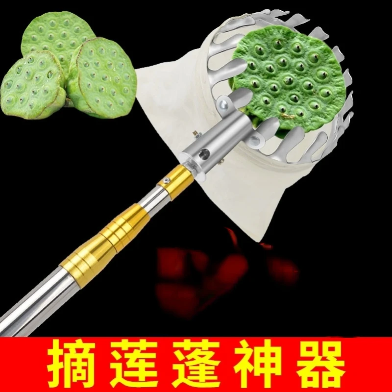 

Lotus pod picking artifact telescopic rod lotus picking artifact lotus pod picking tool stainless steel fruit picking artifact