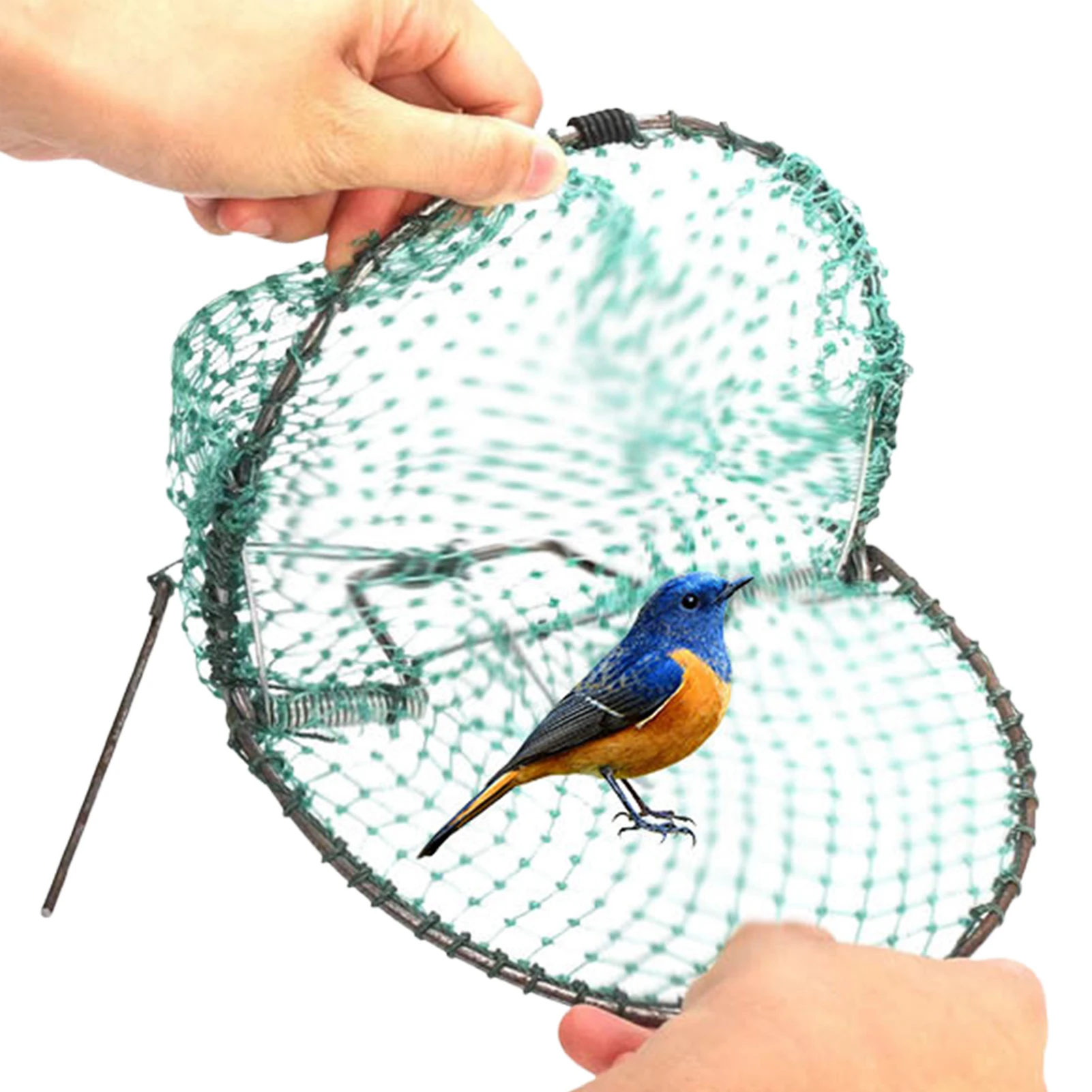 20/30/40/50cm Bird Net Effective Humane Live Sparrow Mouse Trap Rabbits Catching Hunting Quail Humane Trapping Hunting Control
20/30/40/50cm Bird Net Effective Humane Live Sparrow Mouse Trap Rabbits Catching Hunting Quail Humane Trapping Hunting Control