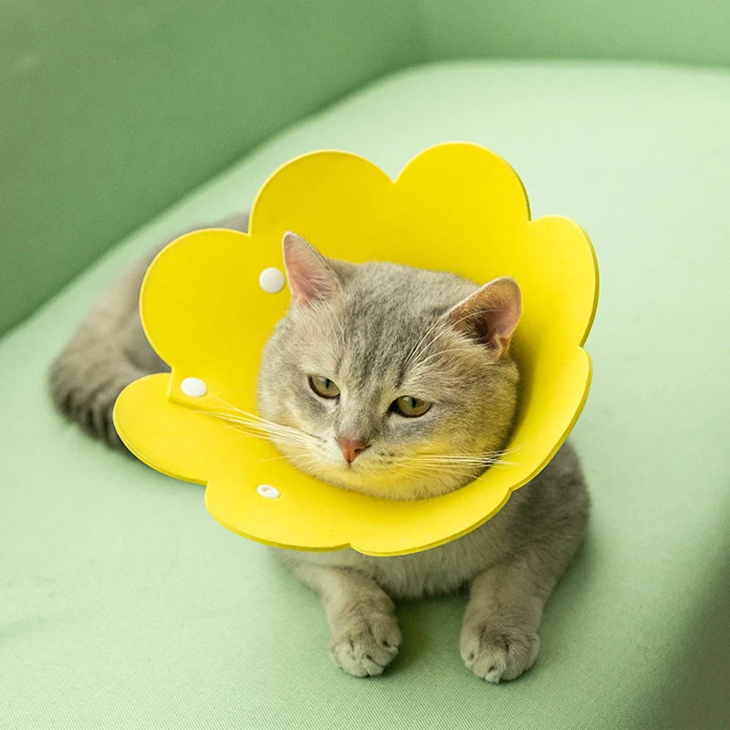 New Cute Flower Shaped Cat Dog Collars Adjustable Recovery Elizabethan Collars Puppy Kitten Anti-bite Healing Protective Collars
New Cute Flower Shaped Cat Dog Collars Adjustable Recovery Elizabethan Collars Puppy Kitten Anti-bite Healing Protective Collars