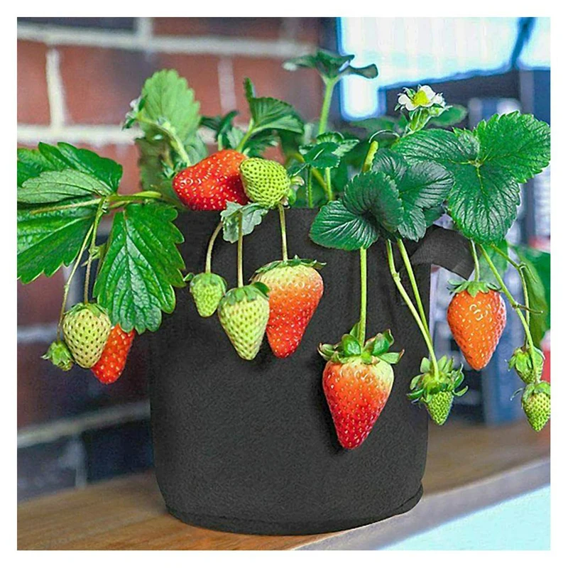 Non Woven Fabric Grow Bags 3 Gallon Felt Grow Bag Potato Fruit Plant Grow Bags Garden Supplies Grow Bags
Non Woven Fabric Grow Bags 3 Gallon Felt Grow Bag Potato Fruit Plant Grow Bags Garden Supplies Grow Bags