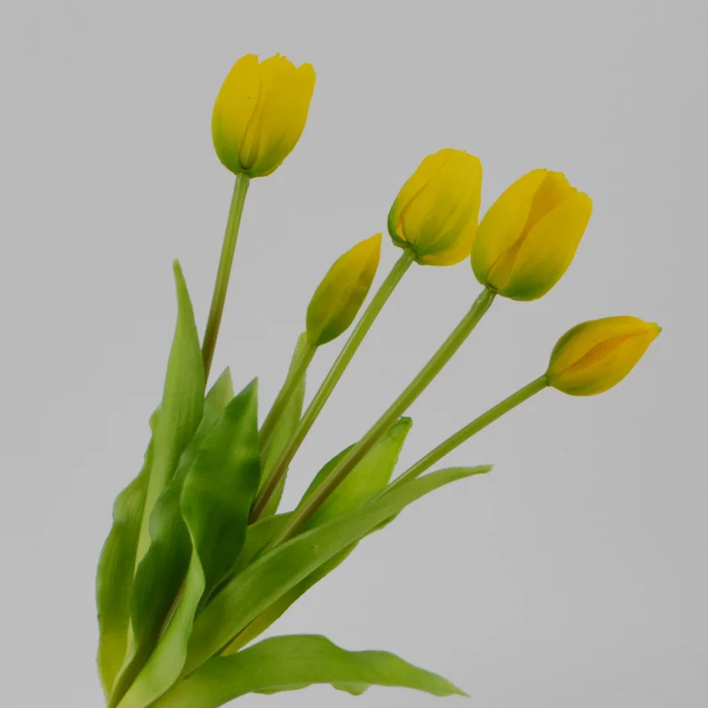 5pcs Soft Silicone Tulip Artificial Flower Real Touch Fake Tulip Flower Bouquet for Wedding Decoration Flowers Home Garen Decor
5pcs Soft Silicone Tulip Artificial Flower Real Touch Fake Tulip Flower Bouquet for Wedding Decoration Flowers Home Garen Decor