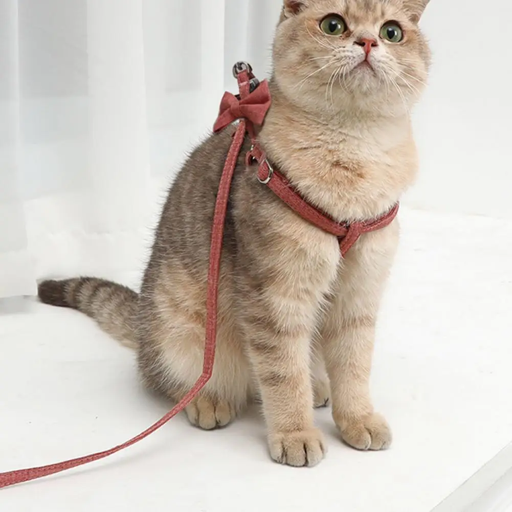 Reliable Lovely Extra Strong Dog Harness Pets Supplies Puppy Harness Heavy-duty for Pet
Reliable Lovely Extra Strong Dog Harness Pets Supplies Puppy Harness Heavy-duty for Pet