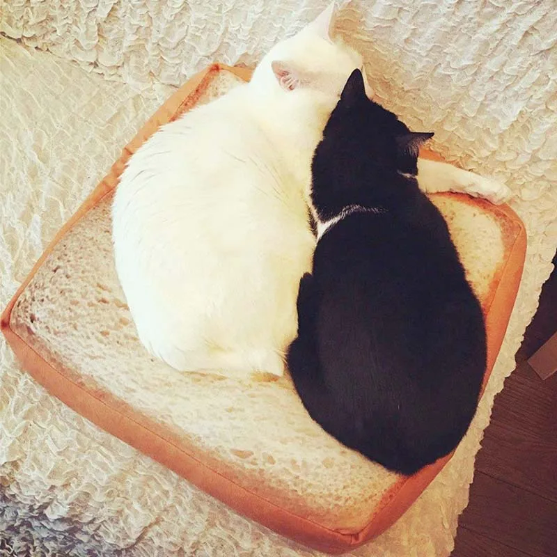 40*40cm Square Bread Cats Bed Toast Bread Slice Style Pet Mats Cushion Soft Warm Mattress Bed for Cats Dogs
40*40cm Square Bread Cats Bed Toast Bread Slice Style Pet Mats Cushion Soft Warm Mattress Bed for Cats Dogs