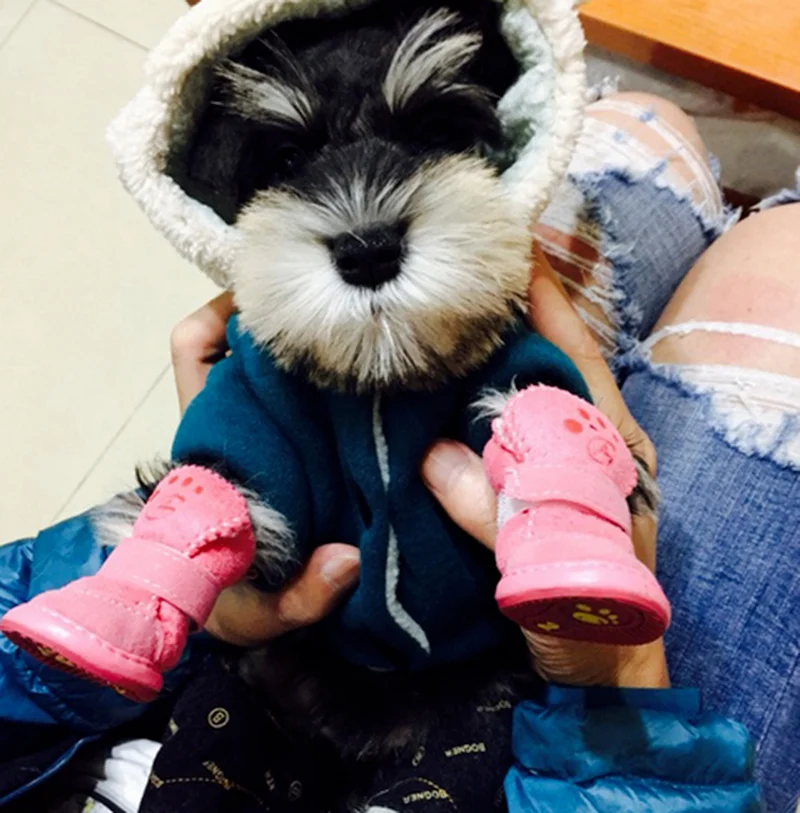 New 4Pcs/Set Winter Pet Shoes Cat and Dog General Shoes Lamb Velvet Teddy Plush Cotton Shoes Warm and Ski-proof Waterproof Shoes
New 4Pcs/Set Winter Pet Shoes Cat and Dog General Shoes Lamb Velvet Teddy Plush Cotton Shoes Warm and Ski-proof Waterproof Shoes