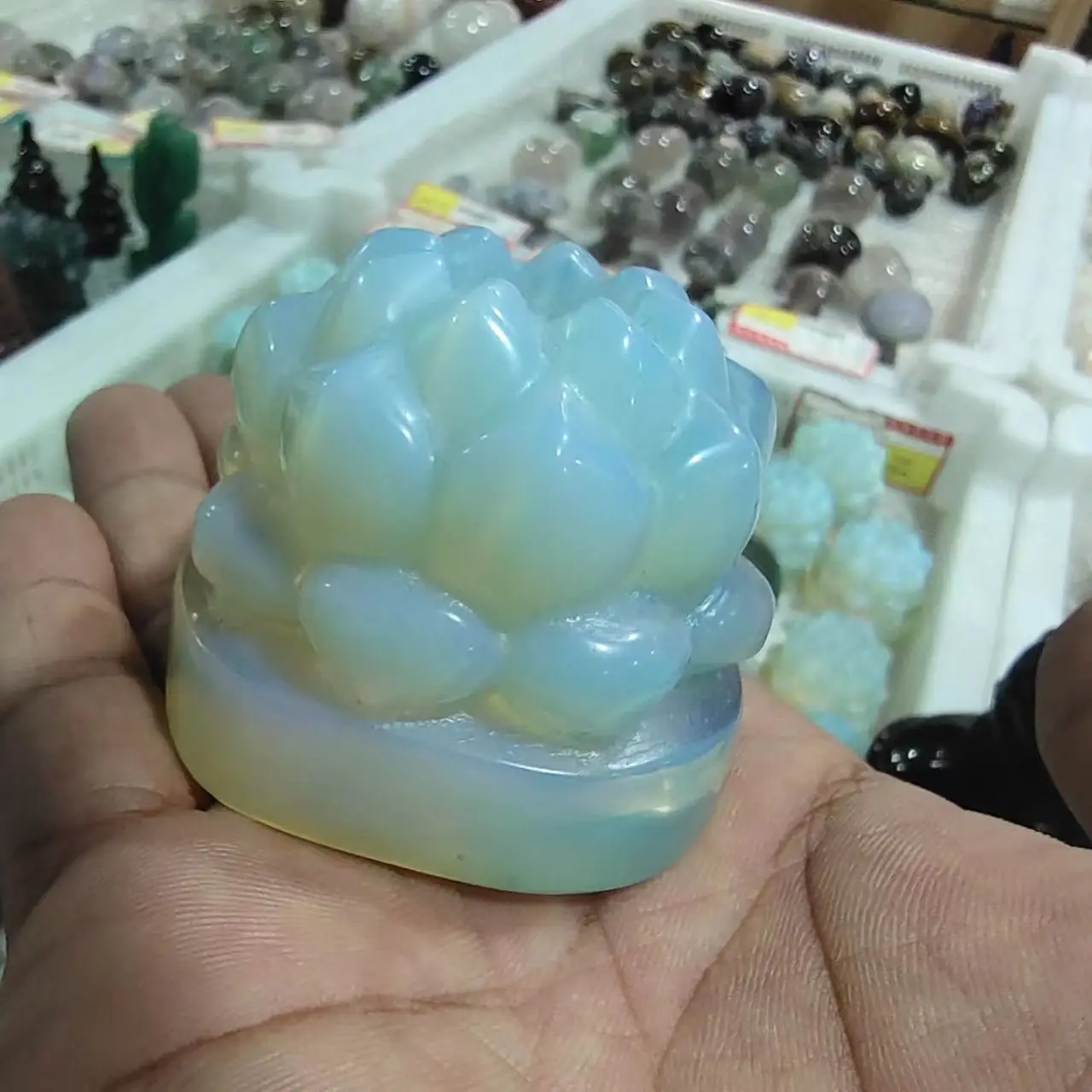 1pcs Opal lotus hand-carved pure protein carving art home ornaments chakra healing
1pcs Opal lotus hand-carved pure protein carving art home ornaments chakra healing