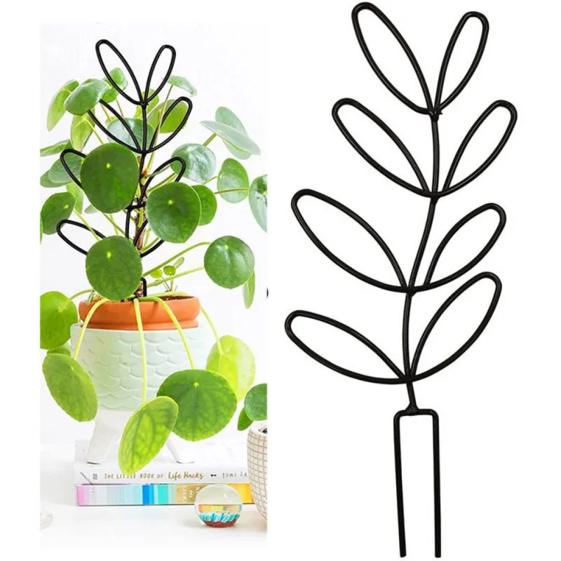 Creative Leaf Shape Plant Support Rack Metal Flower Support Bracket Practical Flower Grow Stake Vertical Plant Climbing
Creative Leaf Shape Plant Support Rack Metal Flower Support Bracket Practical Flower Grow Stake Vertical Plant Climbing