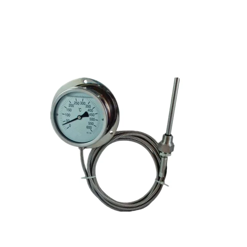Industrial High Accuracy Bimetal Thermometer Metal Pressure Type Thermometer
Industrial High Accuracy Bimetal Thermometer Metal Pressure Type Thermometer