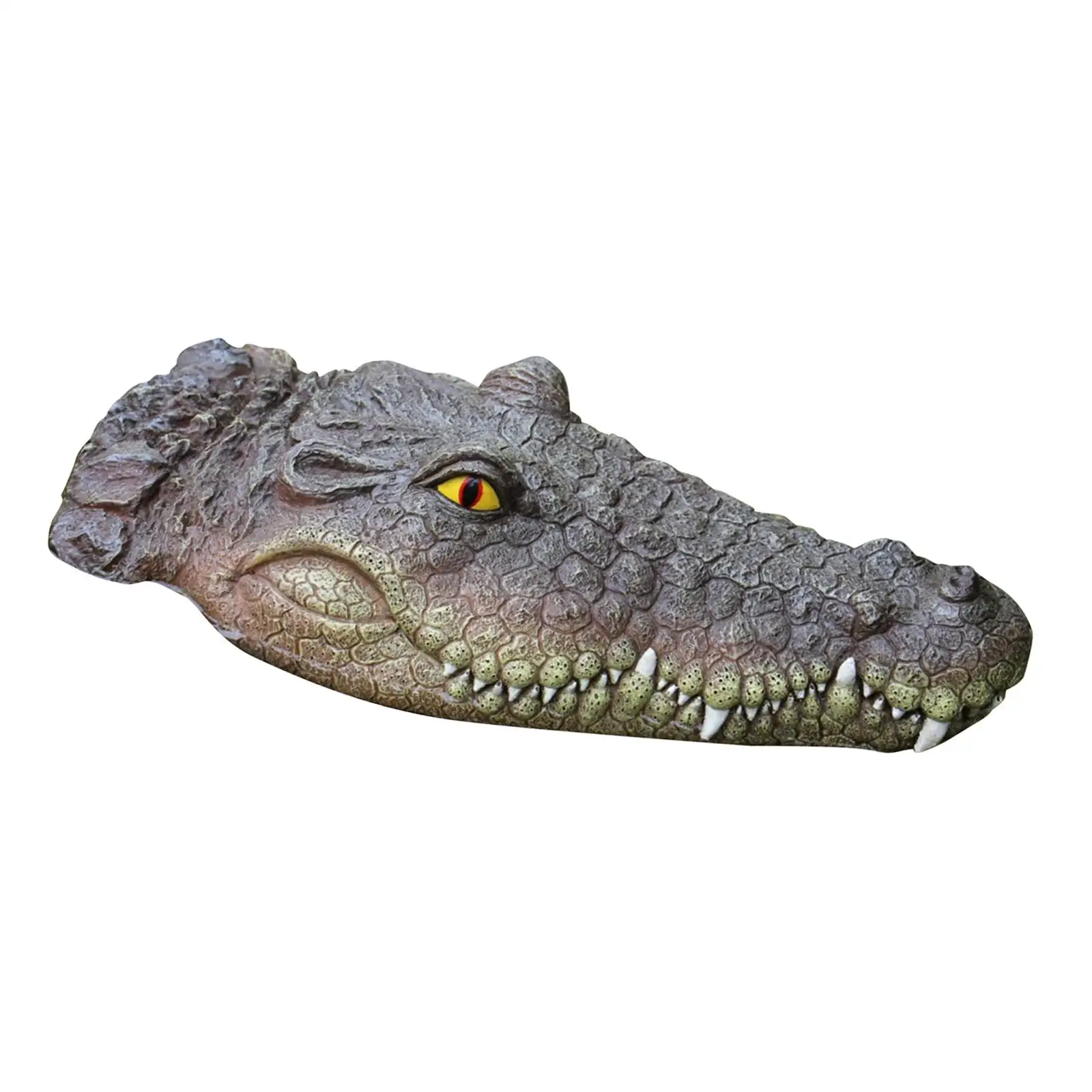 Realistic Floating Crocodile Head Outdoor Statues Water Decoy Alligator Head Gator Head for Pool Garden Pond Decor Ornament
Realistic Floating Crocodile Head Outdoor Statues Water Decoy Alligator Head Gator Head for Pool Garden Pond Decor Ornament