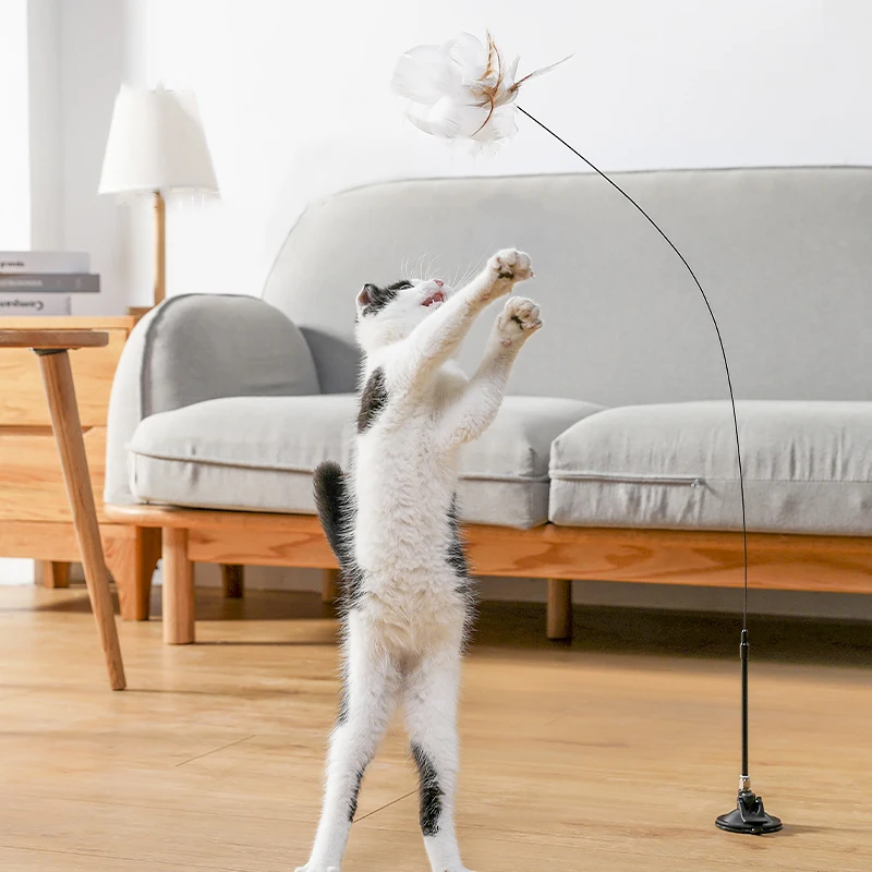 Funny Cat Sticks Elastic Steel Wire Dragonfly Feather With Bell Interactive Toys For Cats Playing Teaser Wand Toy Pet Supplies
Funny Cat Sticks Elastic Steel Wire Dragonfly Feather With Bell Interactive Toys For Cats Playing Teaser Wand Toy Pet Supplies
