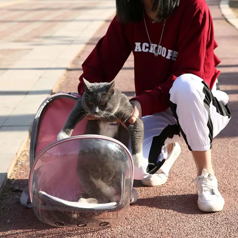 Pet Parrot Carrier Travel Bag Space Capsule Transparent Backpack Breathable carriola para perritos dog carrier bags small dogs
Pet Parrot Carrier Travel Bag Space Capsule Transparent Backpack Breathable carriola para perritos dog carrier bags small dogs