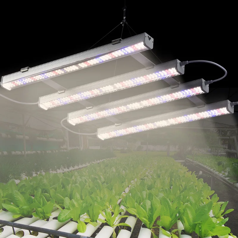Indoor Plant Growth Lamp Fluorescent Tube Full Spectrum Led Vegetable Hydroponic Plant Lamp Light Grow Lamp Lights
Indoor Plant Growth Lamp Fluorescent Tube Full Spectrum Led Vegetable Hydroponic Plant Lamp Light Grow Lamp Lights