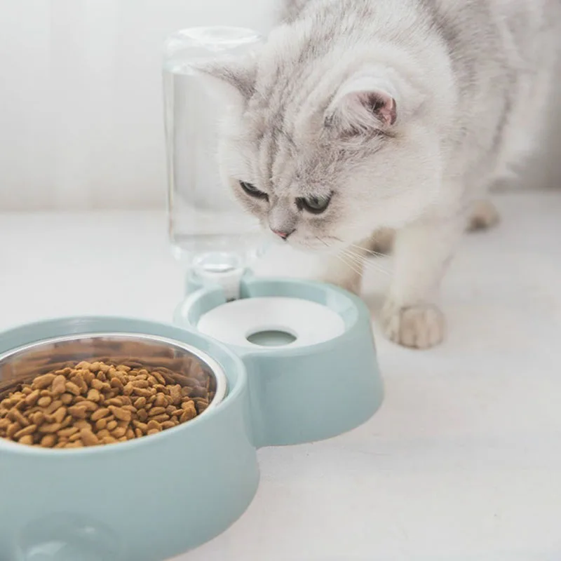 Миска для кошек, семейная миска для кошек, котят, питьевой фонтан, блюдо для еды, миска для домашних животных, товары
Миска для кошек, семейная миска для кошек, котят, питьевой фонтан, блюдо для еды, миска для домашних животных, товары