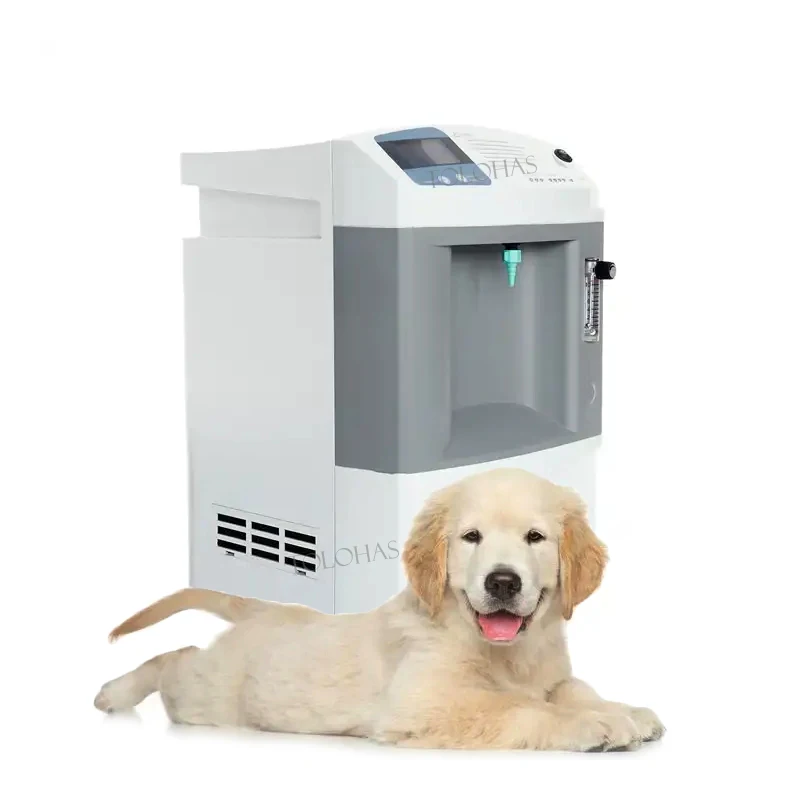LHWJ10 Mobile high purity animal oxygen chamber anaesthesia use oxygenerator pet vet oxygen concentrator
LHWJ10 Mobile high purity animal oxygen chamber anaesthesia use oxygenerator pet vet oxygen concentrator