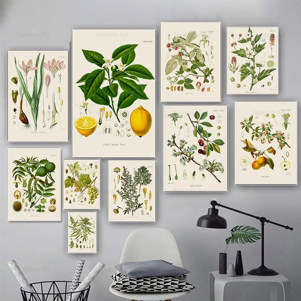 Vintage Botanical Posters and Prints Koehler's Medicinal Plants Canvas Painting Kitchen Wall Pictures for Living Room Home Decor
Vintage Botanical Posters and Prints Koehler's Medicinal Plants Canvas Painting Kitchen Wall Pictures for Living Room Home Decor