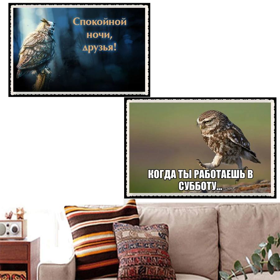 DIY 5D Diamond Painting Beauty Owl Series Full Drill Square Round Embroidery Mosaic Art Picture Of Rhinestones Home Decor Gifts
DIY 5D Diamond Painting Beauty Owl Series Full Drill Square Round Embroidery Mosaic Art Picture Of Rhinestones Home Decor Gifts