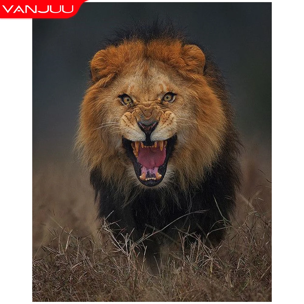 VANJUU Diamond painting Animal 5D Full Drill Lion Diamond Mosaic Diy Diamond Embroidery Rhinestones Painting Home Decor Gift
VANJUU Diamond painting Animal 5D Full Drill Lion Diamond Mosaic Diy Diamond Embroidery Rhinestones Painting Home Decor Gift