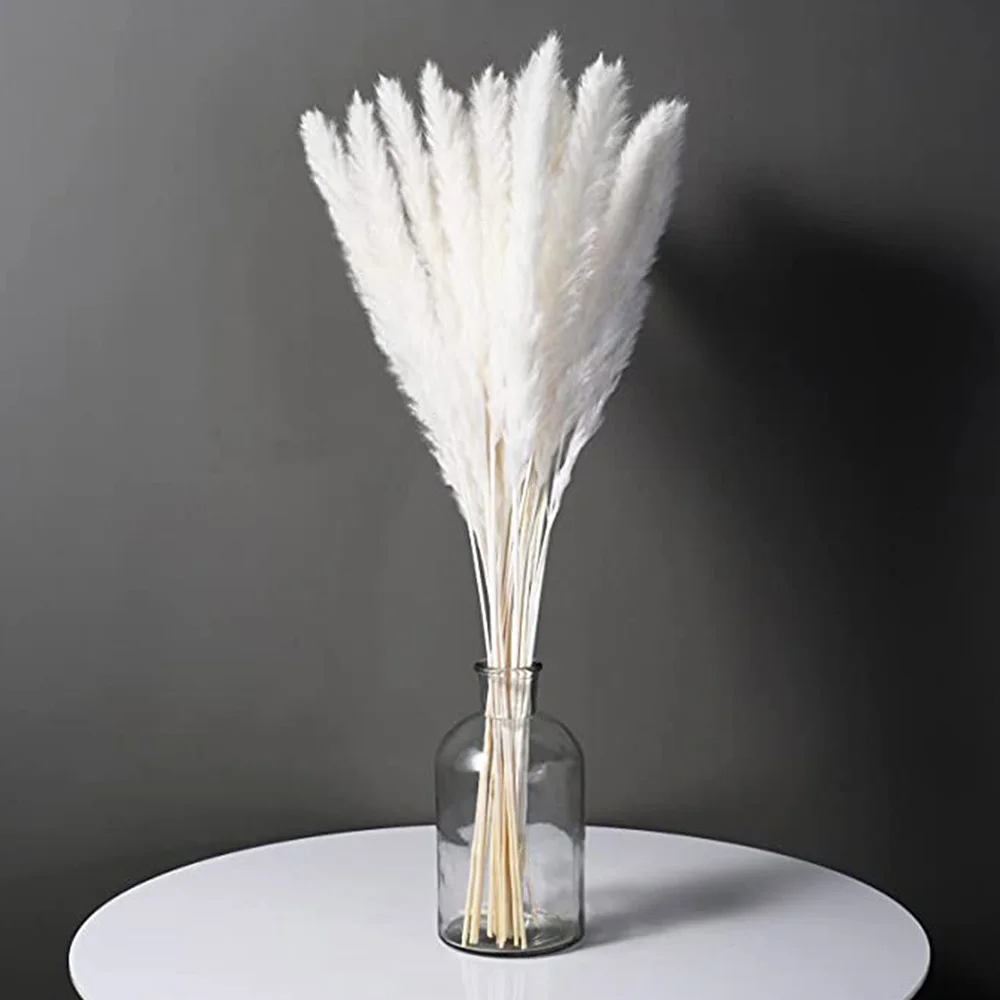 15pcs Artificial Dried Reed Small Pampas Grass Phragmites Artificial Flowers Plants Party Christmas Home Decoration Accessories
15pcs Artificial Dried Reed Small Pampas Grass Phragmites Artificial Flowers Plants Party Christmas Home Decoration Accessories
